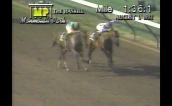 1993 Haskell Invitational Stakes
