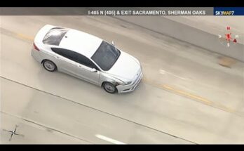 Los Angeles Police Chase Stolen Car | LAPD Pursuit Footage
