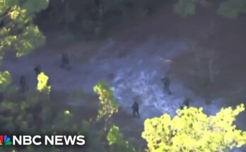 Florida Swamp Foot Chase: 36-Hour Manhunt Ends in Arrest