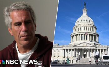 Congress Will Vote to Publicly Release Epstein’s Secret Files