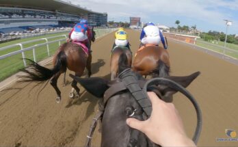 “Jockey Cam” + “POV” + “Horse Race” are likely search keywords that capture interest.