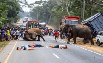 Terrifying Journey Through the Unknown: Exploring Abandoned & Haunted Spaces