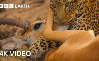 Explore Earth’s Secret Untouched Nature | Hidden Places You’ve Never Seen