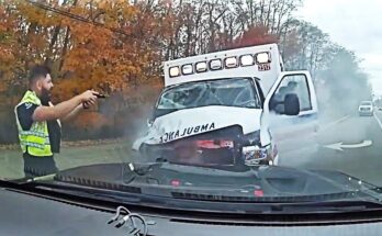 Ambulance Hijacked with Paramedic & Patient Inside – High‑Speed Chase & Crash (Novi, MI)