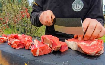 How to Make Ribeye Soup on a Campfire – Primitive Wild Cooking in Nature