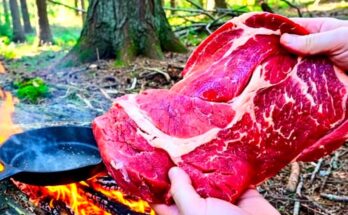 Massive Campfire Steak” / “Open Fire” / “ASMR Outdoor Cooking