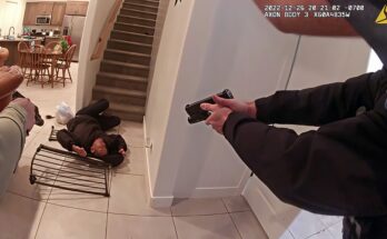 K9 Unit Attack Gone Wrong – Man Stabs Police Dog & Regrets It