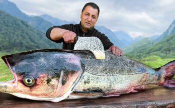 Monster Fish” and “Catch & Cook” emphasize the key action and draw interest.