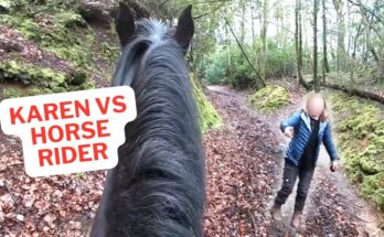 Horse Rider vs Dog Walker — Unexpected Confrontation in Public