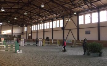 Horse Finishes Competition Alone After Rider Falls Off