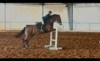 Jumping Scrimmage on Junior | Won My Point 🏇