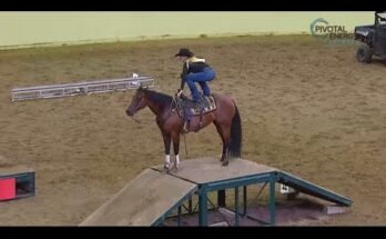Hannah Howe & High Flying X Tex | Cowboy Up Challenge 2025 Calgary Stampede