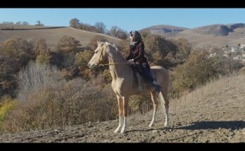 unexpected horse run during riding