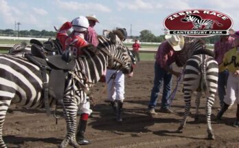 Canterbury Park Extreme – Thrills, Rides, and Adventure!