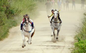 Corrida de cavalos - DESAFIO: Skoll deu 15 metros para Princesa