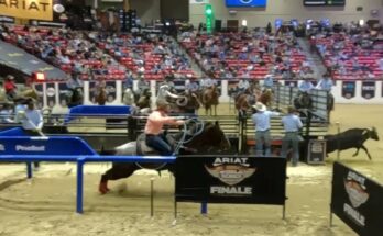 Scary Moment at the World Series of Team Roping | Horse Falls and Takes Down Rider