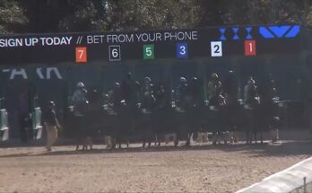 RACE 3 | Gulfstream Park USA | 24 Dec 2025